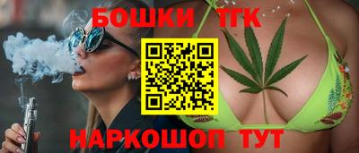индика Партизанск