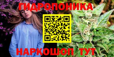 spice Пенза