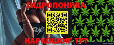 spice Пенза