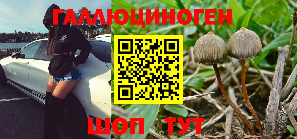 Псилоцибиновые грибы Cubensis  Вход с VPN  Тюмень  Псилоцибиновые грибы Psilocybine cubensis 